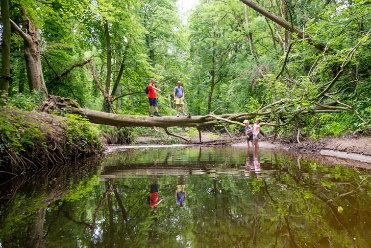 Dieses Bild hat ein leeres Alt-Attribut. Der Dateiname ist bekendelle.jpg