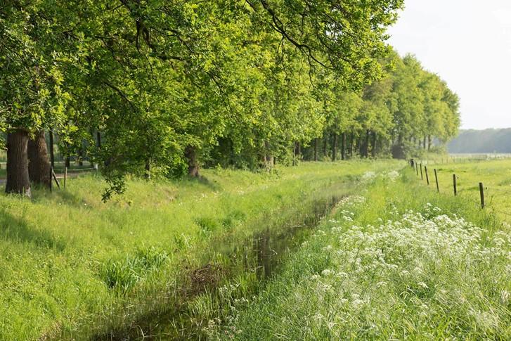 Dieses Bild hat ein leeres Alt-Attribut. Der Dateiname ist dtb20180511-1760.jpg