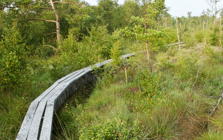 Dieses Bild hat ein leeres Alt-Attribut. Der Dateiname ist korenburgerveen.png