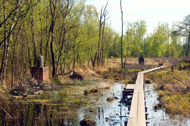 Dieses Bild hat ein leeres Alt-Attribut. Der Dateiname ist wooldse-veen.jpg